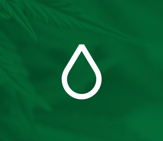 Taux d'humidité du cannabis Taux d'humidité du cannabis